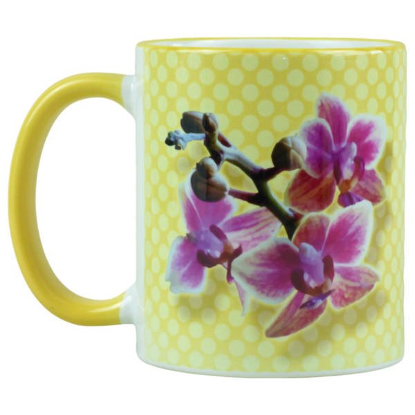 Kaffeebecher mit Orchideen Blüte Phalaenopsis pink