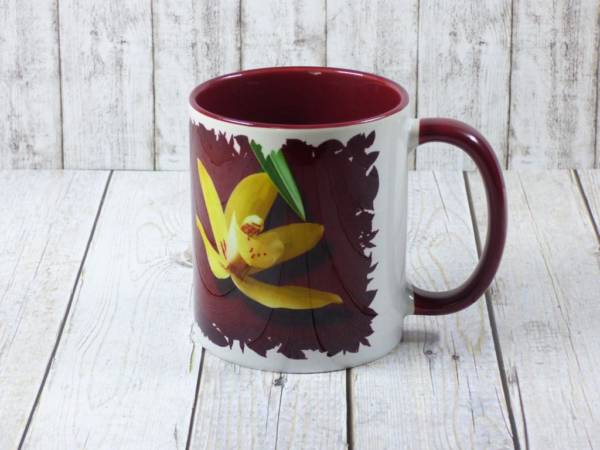 Cymbidium Orchideen Kaffeebecher