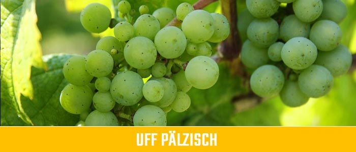 Pfalz Shop - uff Pälzisch