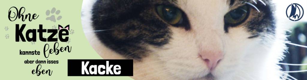 Katzenshop Produkte